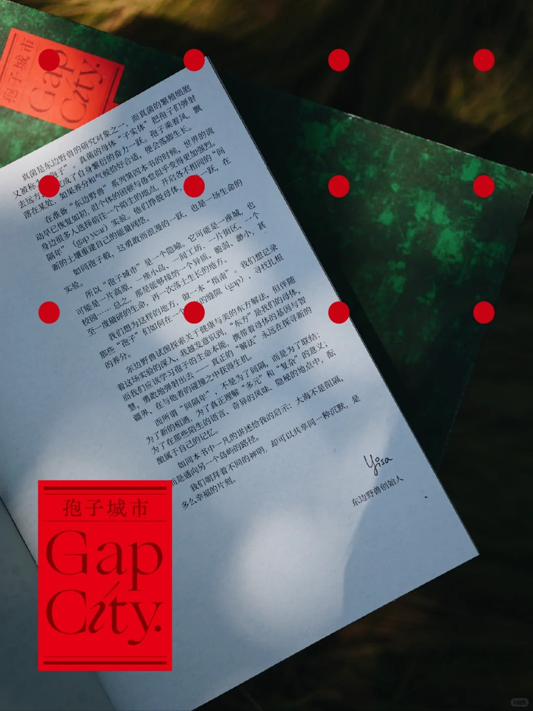 孢子城市 Gap City