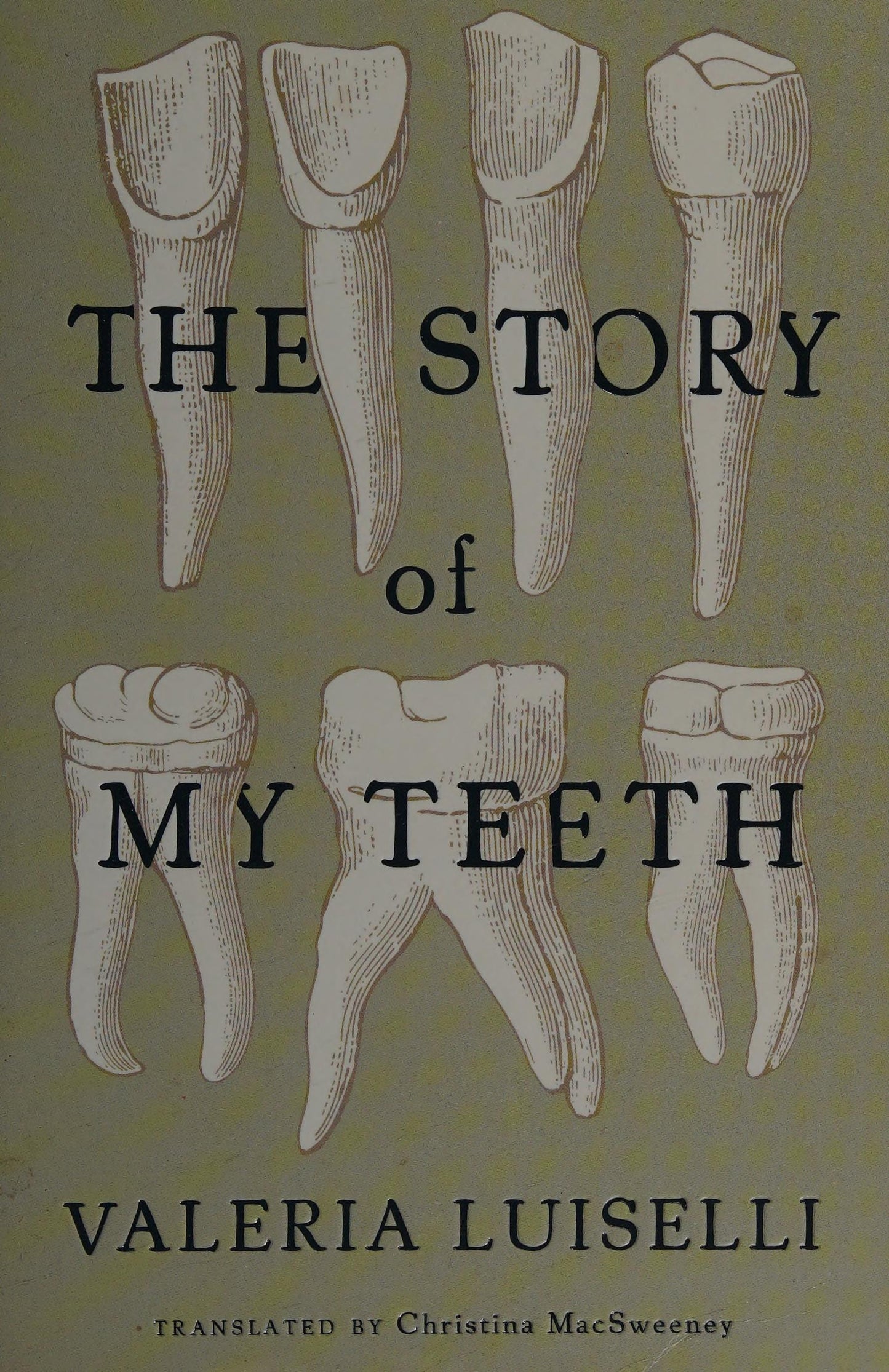 The Story of My Teeth