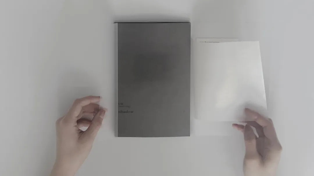 煦 (Susie Zhu): on (being) shadow-