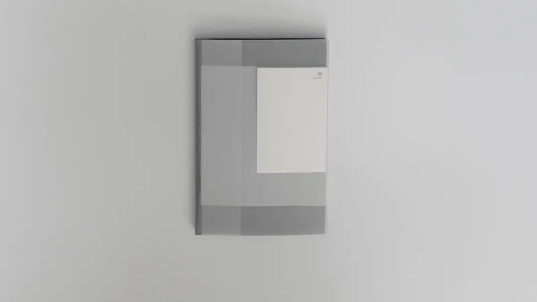煦 (Susie Zhu): on (being) shadow-
