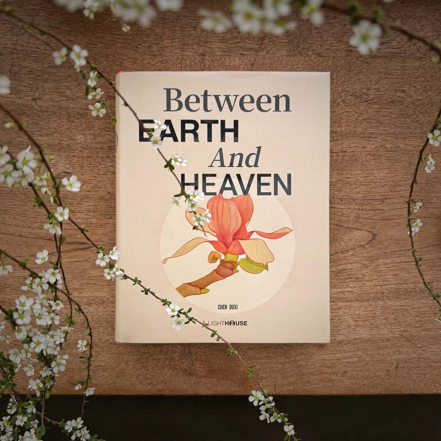 Chen Duxi 陈督兮: Between Earth and Heaven 云蒸霞蔚