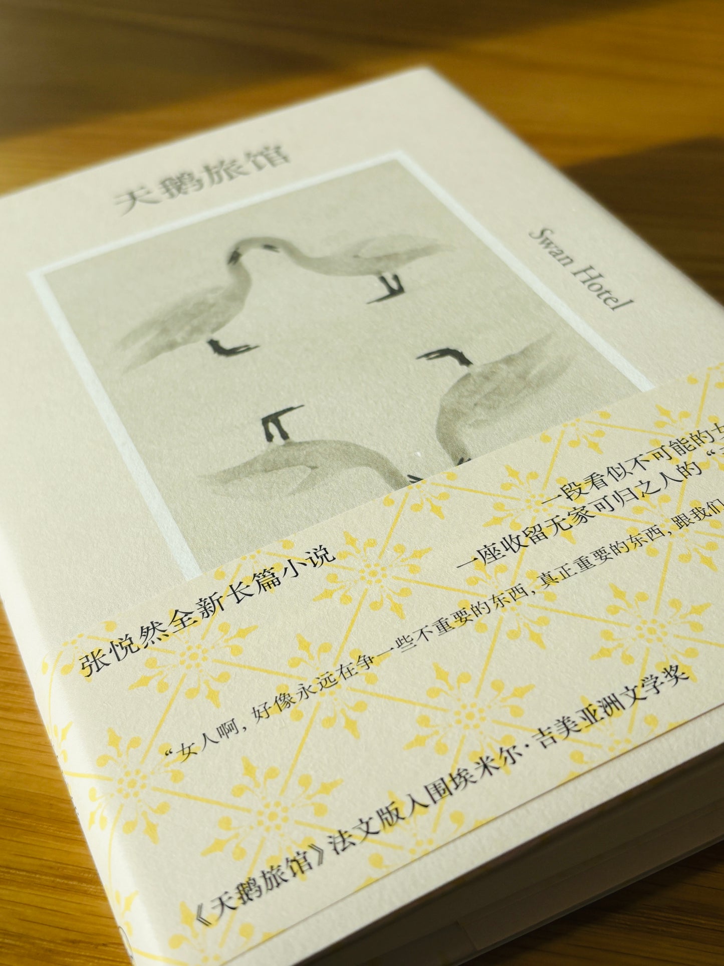 张悦然:天鹅旅馆