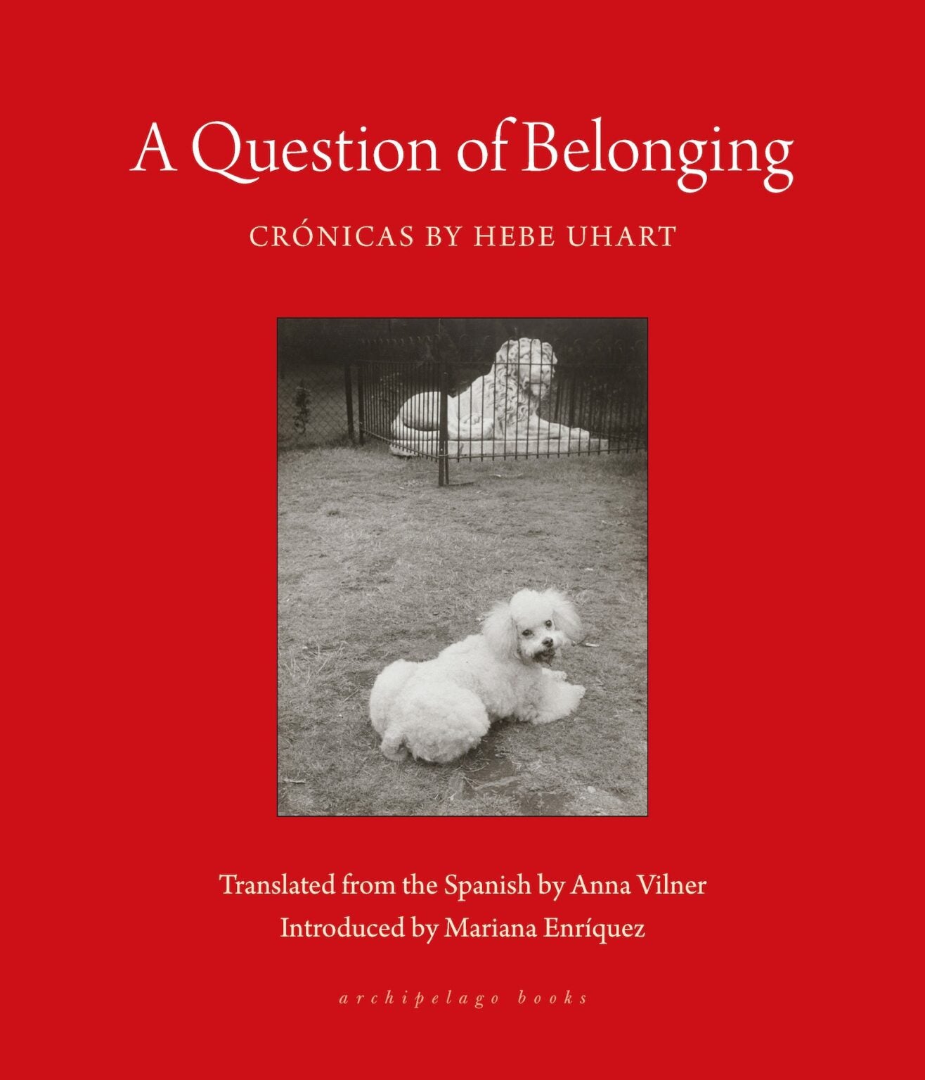 A Question of Belonging: Crónicas by Hebe Uhart