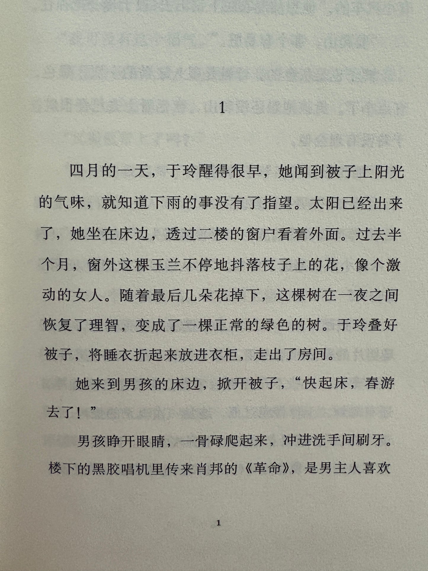 张悦然:天鹅旅馆