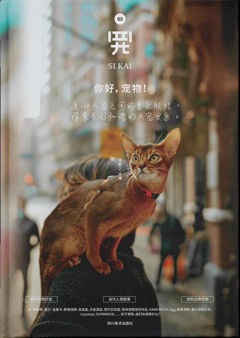 四开03:你好,宠物