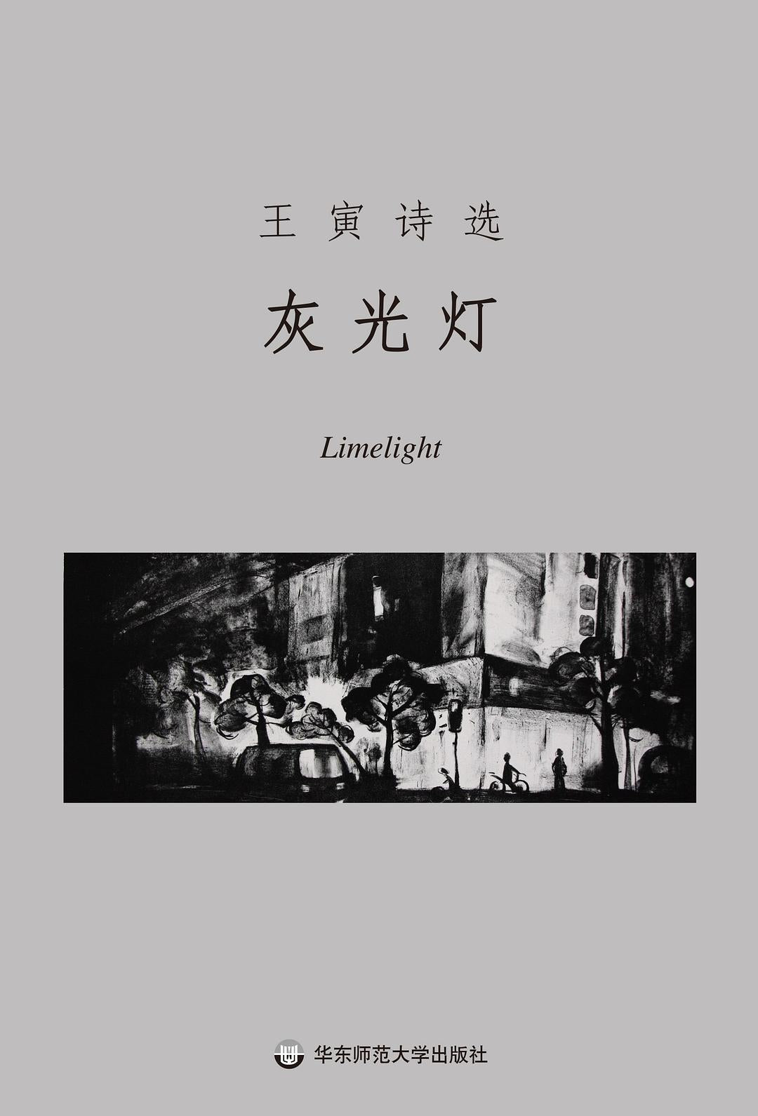王寅:灰光灯 (签名版)