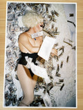 猫十一: Photography Prints
