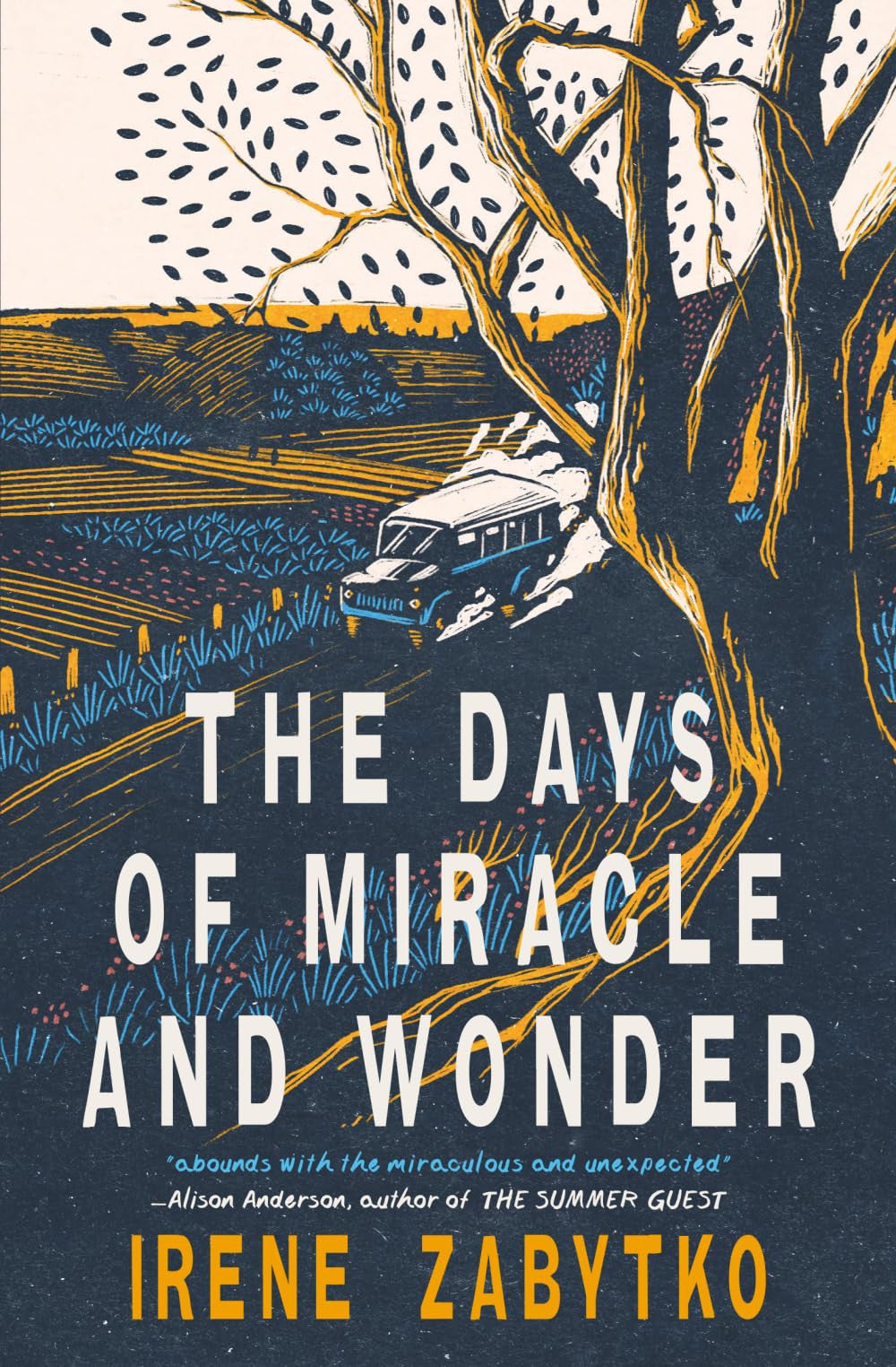 The Days of Miracle and Wonder, Irene Zabytko