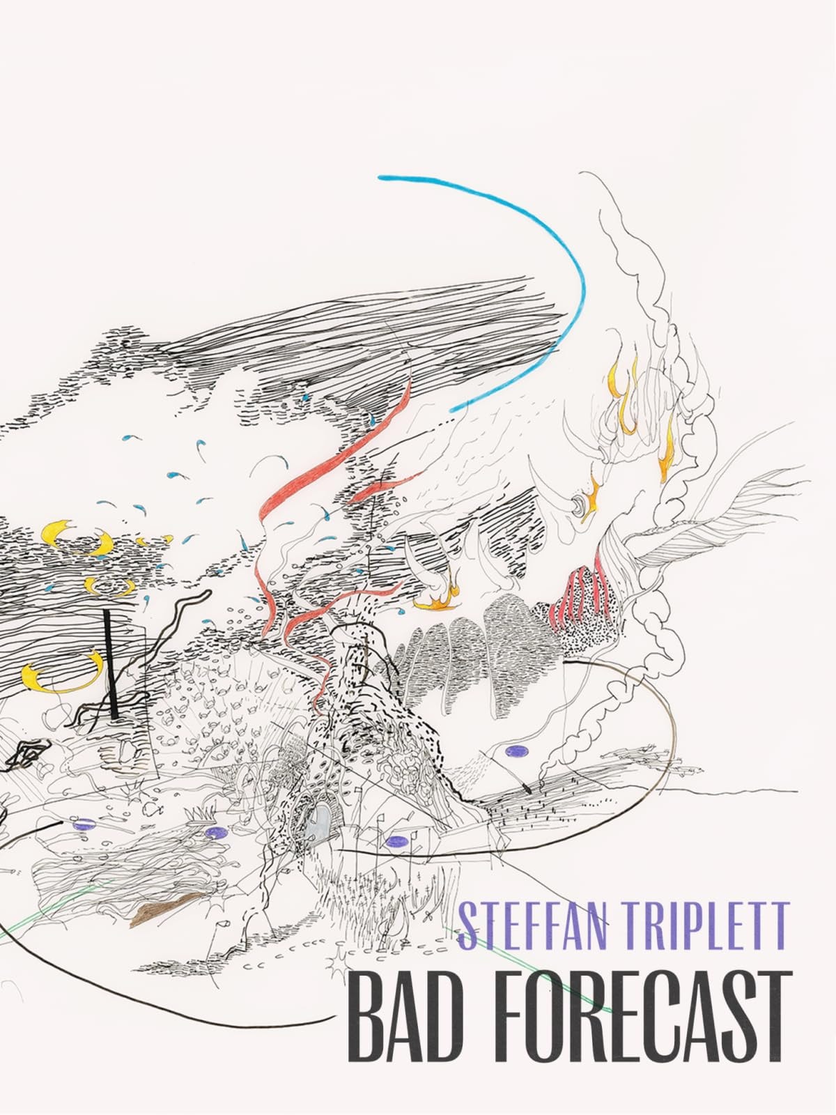 Bad Forecast, Steffan Triplett