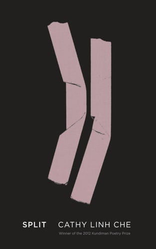 Split, Cathy Linh Che
