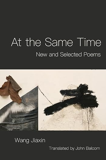 Wang Jiaxin: At the Same Time
