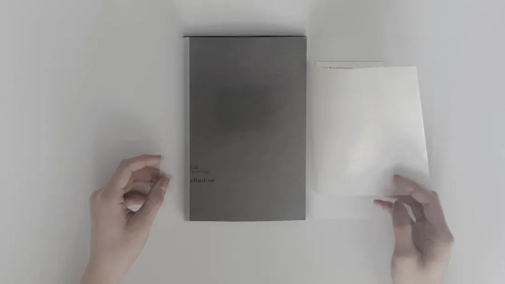 煦 (Susie Zhu): on (being) shadow-