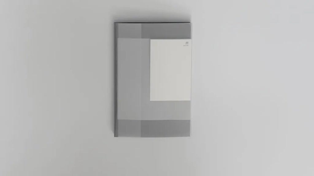 煦 (Susie Zhu): on (being) shadow-