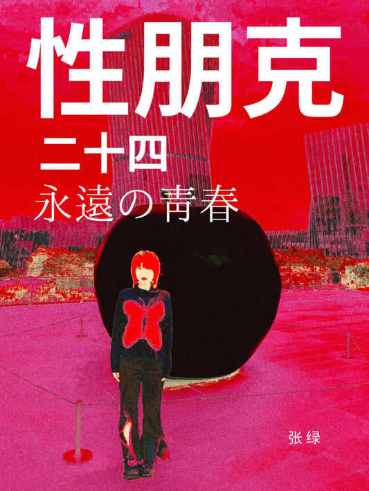 性朋克 永远的青春 二十四