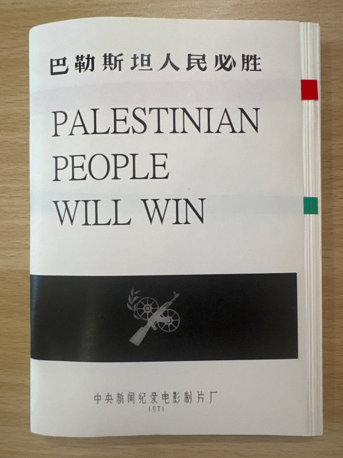 Palestinian People Will Win巴勒斯坦人民必胜