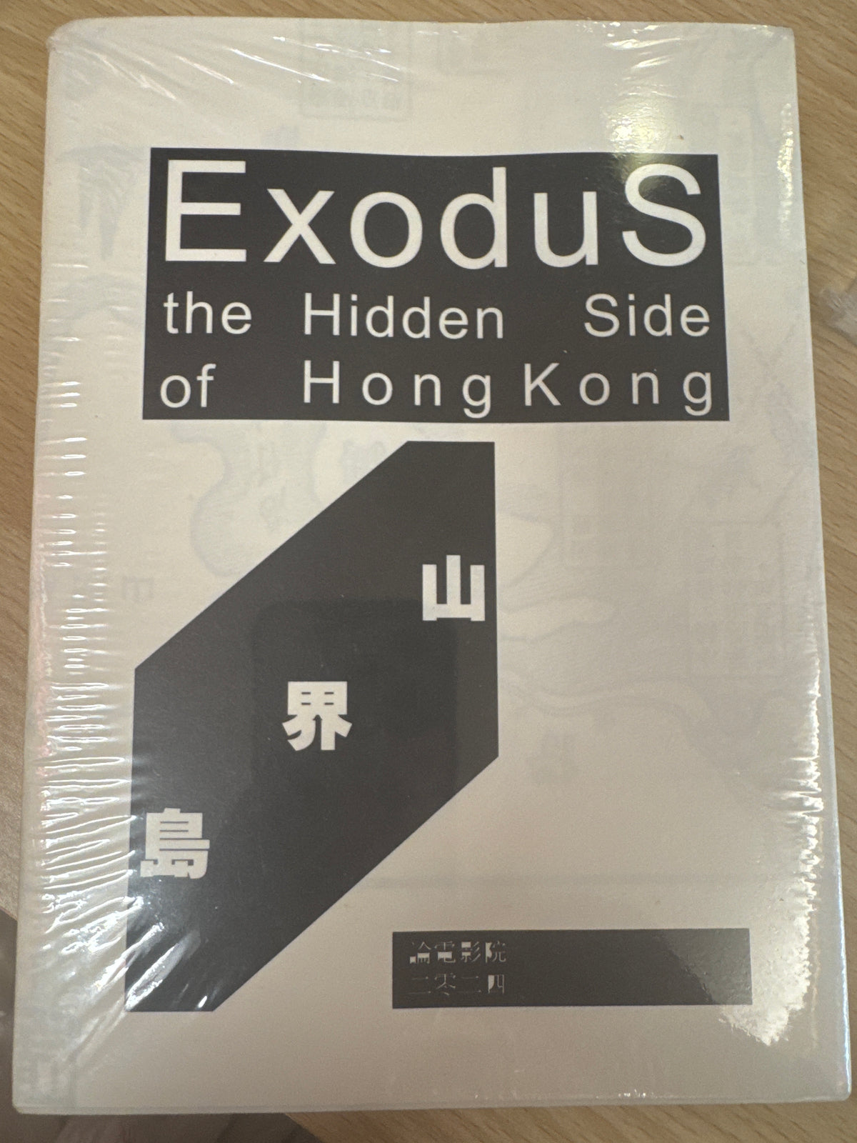 ExoduS the Hidden Side of Hong Kong
