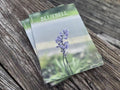 Bluebell Issue 1