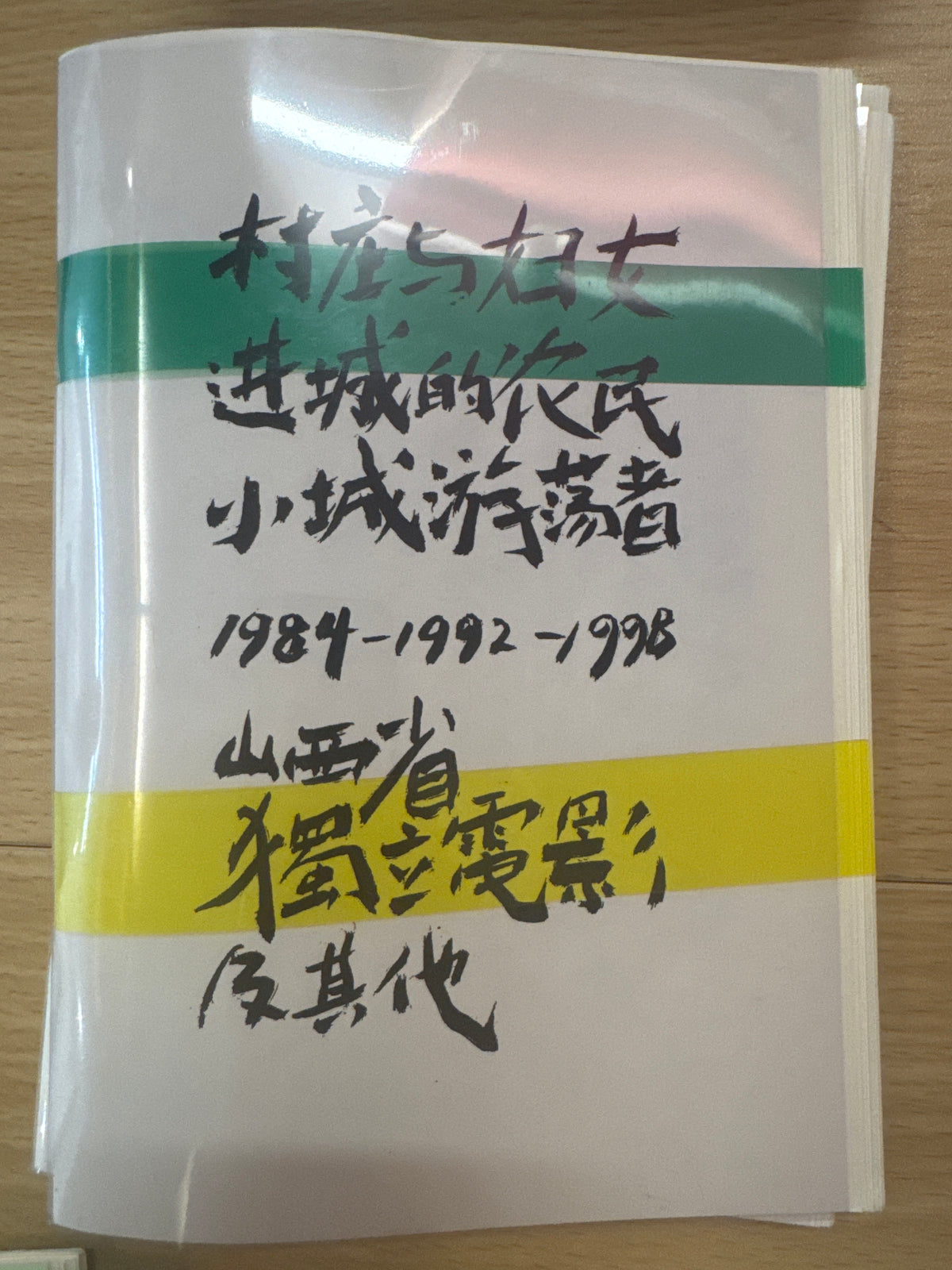 村庄与妇女，进城的农民，小城游荡者：陕西省独立电影及其他