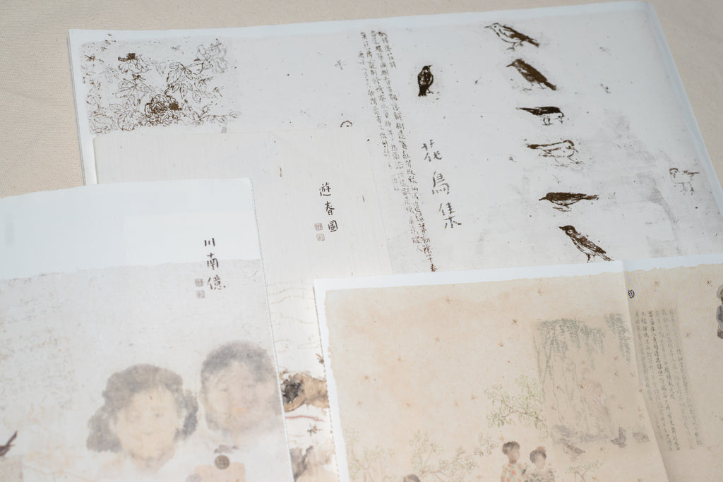《折枝记》 Broken Branch Flowers