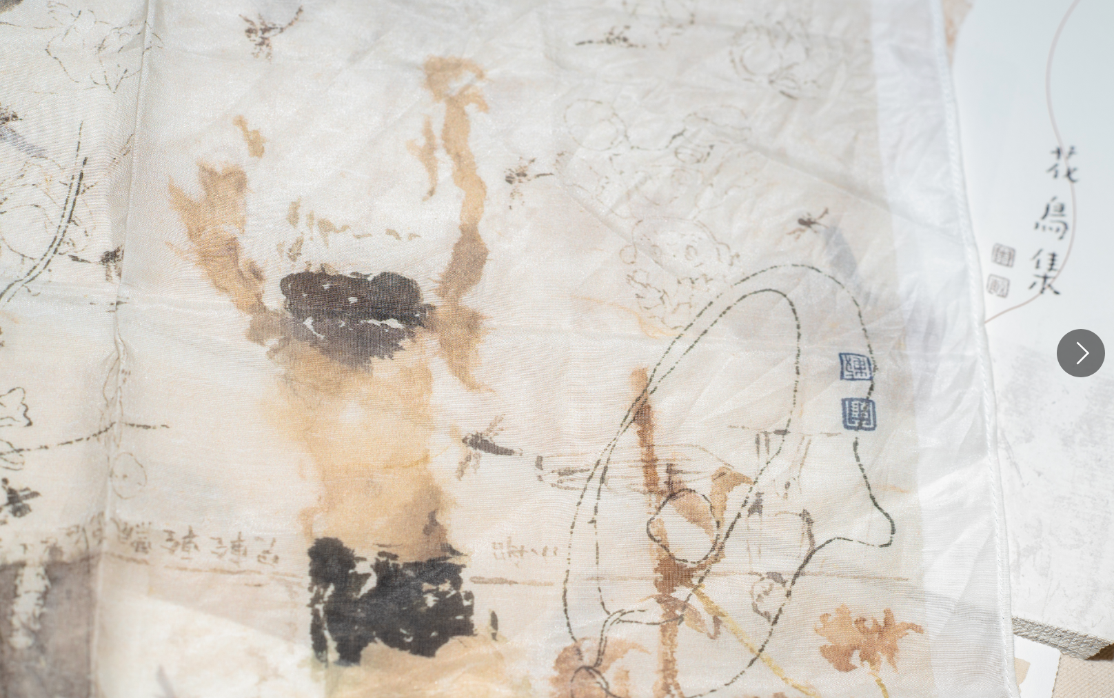 《折枝记》 Broken Branch Flowers