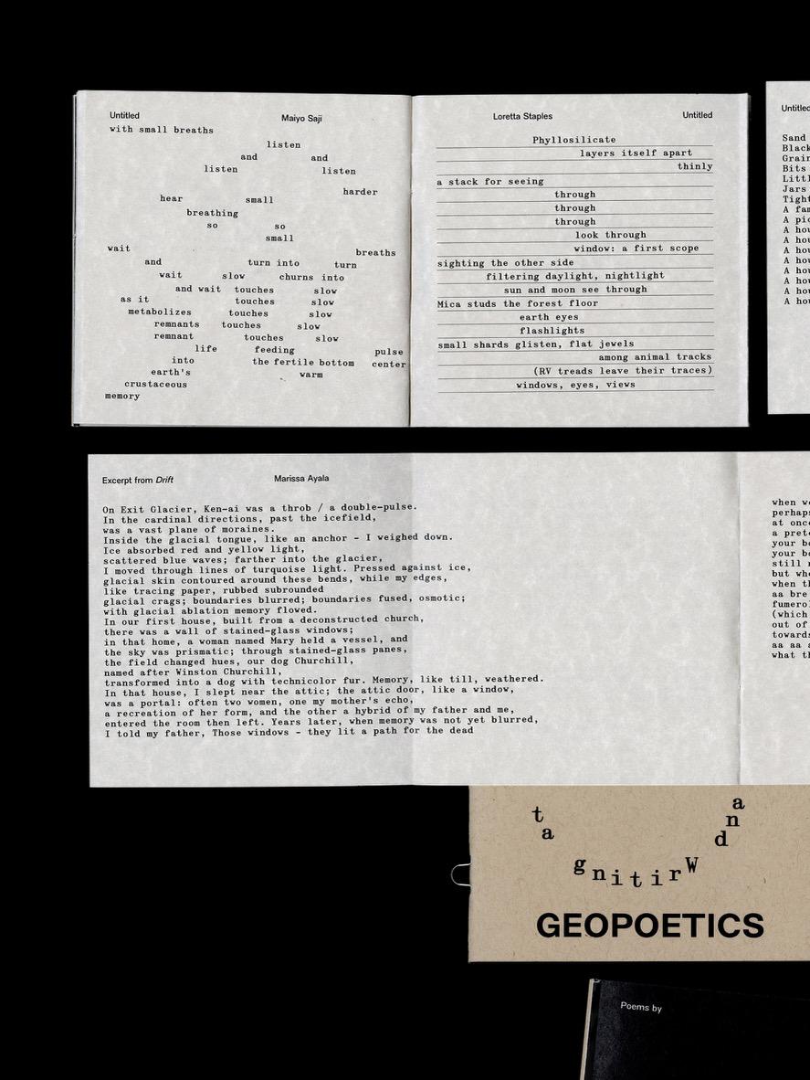 Geopoetics: Reading and Writing at Planetary Scale