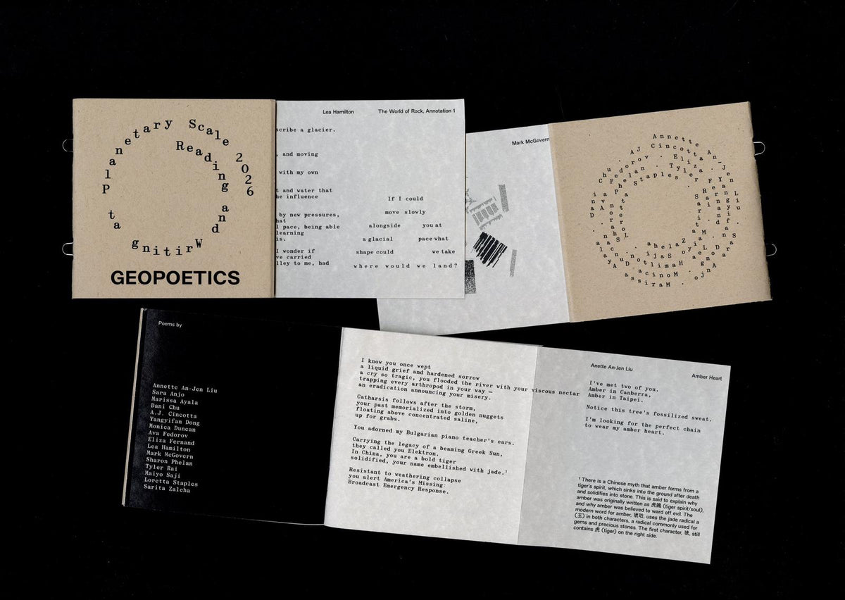 Geopoetics: Reading and Writing at Planetary Scale