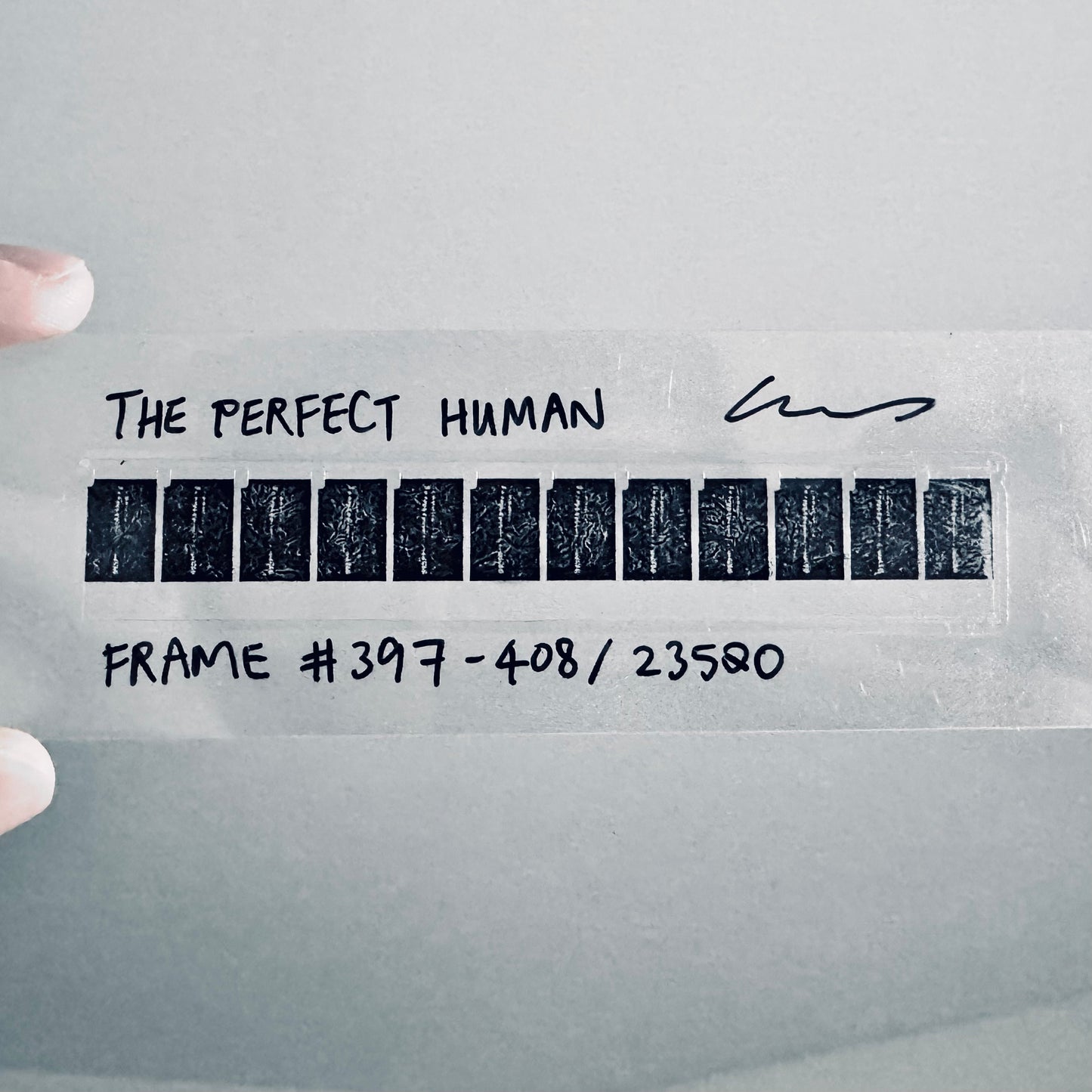 Lilan Yang: The Perfect Human (the Complete Collection)