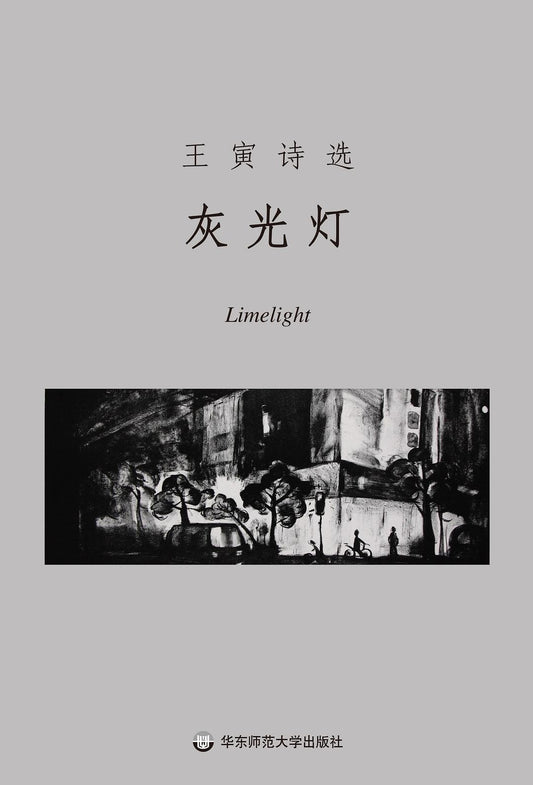 王寅：灰光灯 (签名版）
